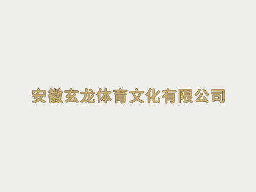安徽玄龍體(tǐ)育文化有(yǒu)限公司